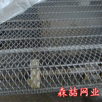 鏈板式網(wǎng)帶就像外來物種入侵普通網(wǎng)帶