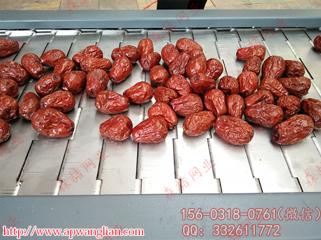 小顆粒產(chǎn)品使用什么樣的金屬輸送帶合適？