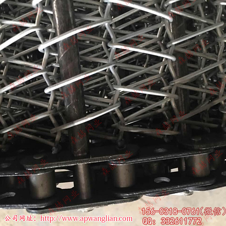 不銹鋼輸送網(wǎng)帶使用小滾珠雙節(jié)距的輸送鏈條
