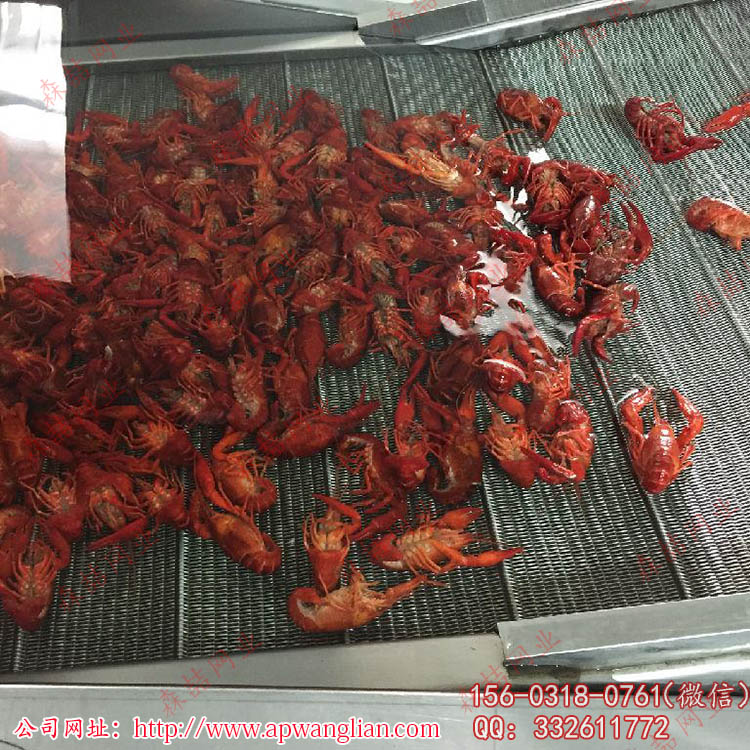 使用環(huán)境對輸送網(wǎng)帶的影響有哪些